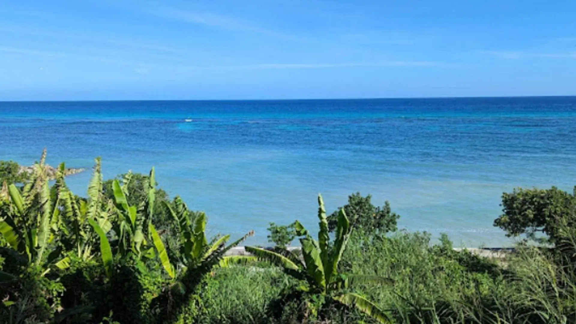 アパート Oceanview Apt - Montego Bay Ja Pool Bar Beach ジャマイカ