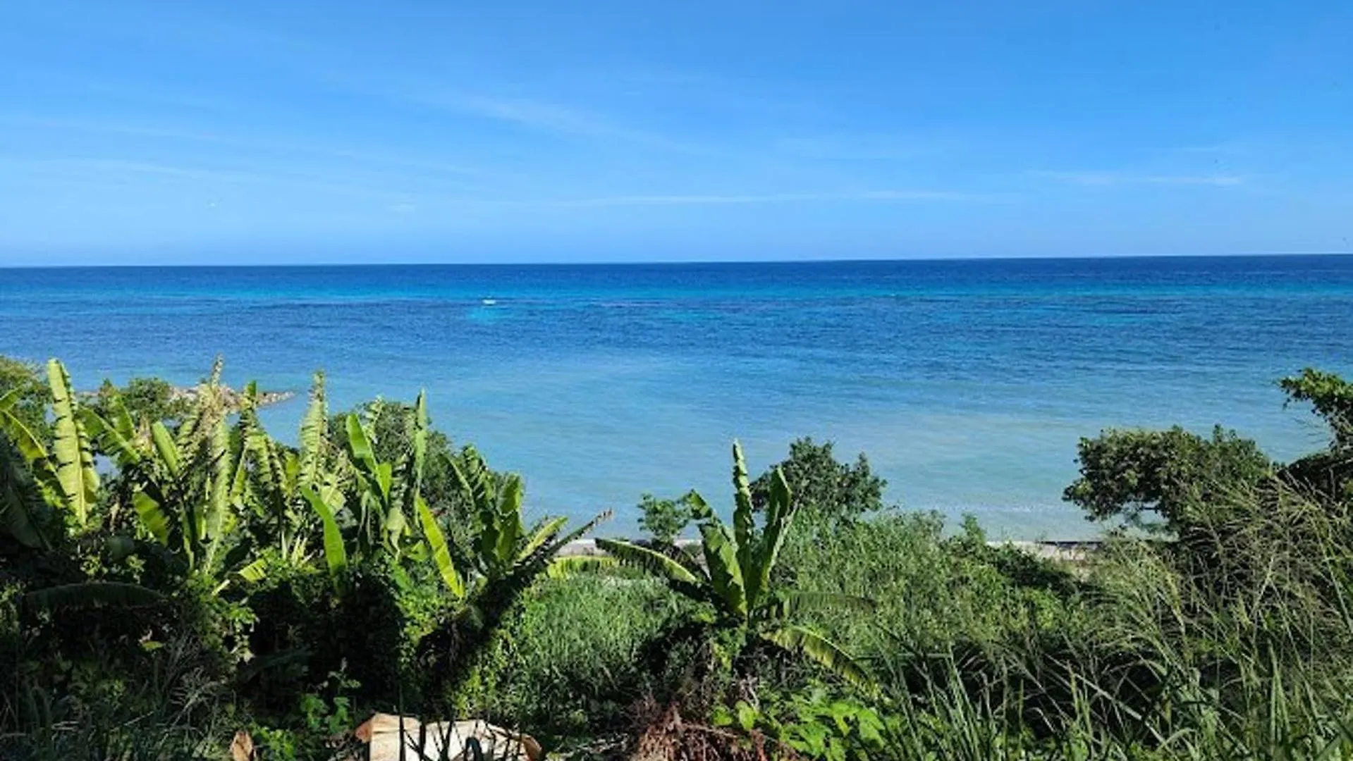 アパート Oceanview Apt - Montego Bay Ja Pool Bar Beach